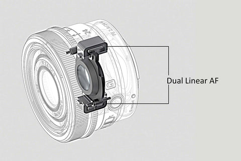 Sony 24mm G lens dual AF Motor diagram