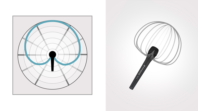 A cardioid polar pattern