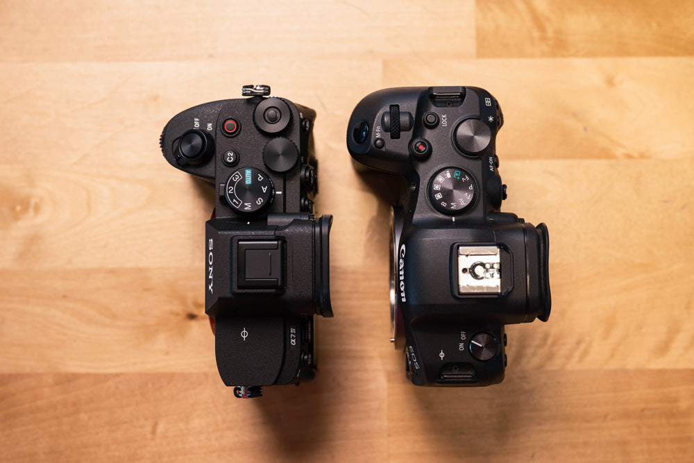 top comparison of sony a7 iv and canon r6