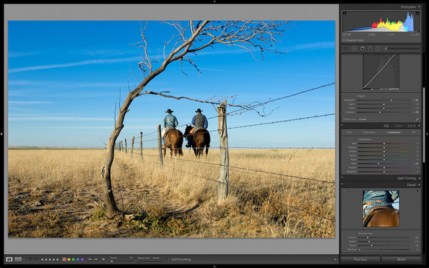 Lightroom Tone Curve Panel, Lightroom, Michael Clark