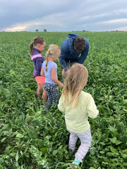 checking out the polycrop before bed