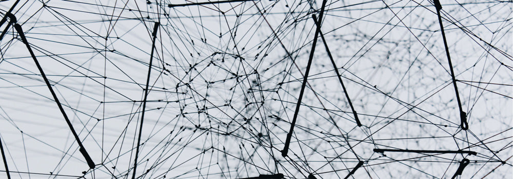 A network of strings