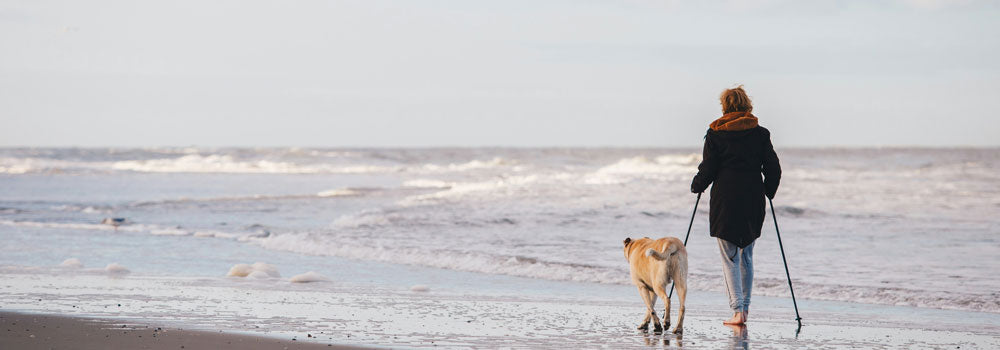 Woman walking with her dog on the beach using walking sticks