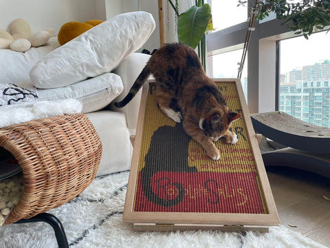 a cat scratching a Furrther scratcher in living room