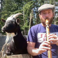 Wally with Goat- Stellar Flutes team member playing flute to on of his goats