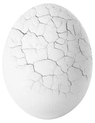 egg_image