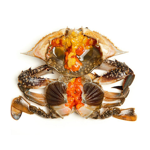 Korean soy crab from gunsan