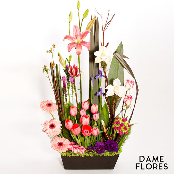 Envío de tulipanes con orquídeas a domicilio | Dame Flores