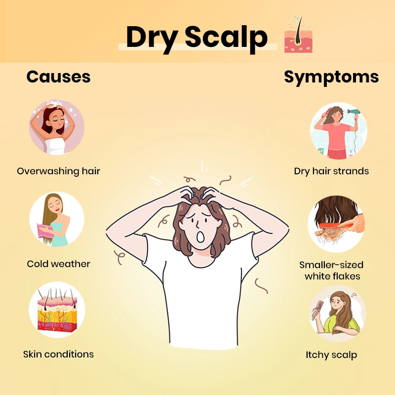 Dry_Hair_-_Cause_and_Symptoms