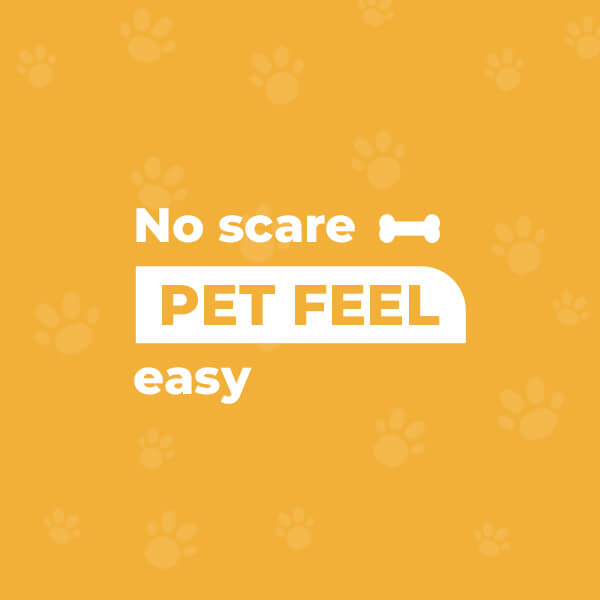  No scare, Pet feel easy