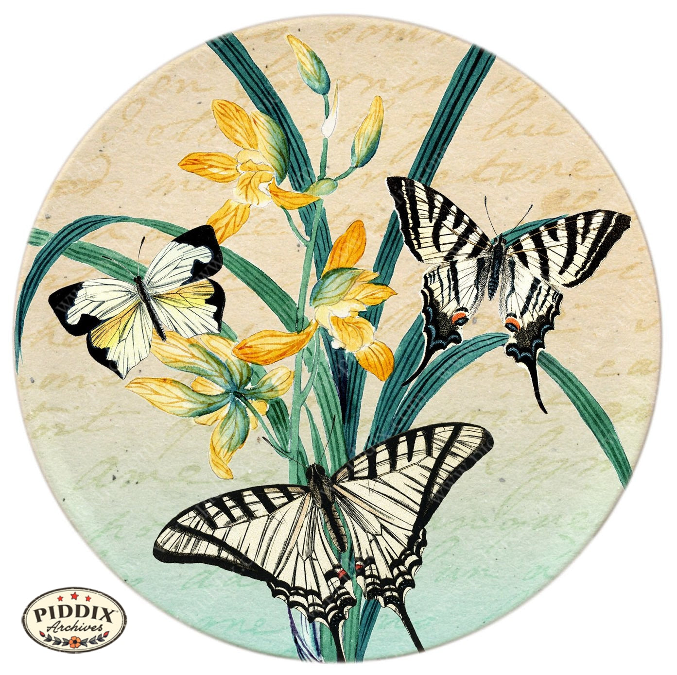お気に入り】 ボタニカル本 Botanicals Butterflies & Insects 洋書