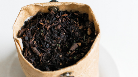 recycle used tea leaves | Life of Cha