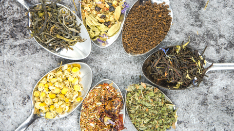 Drinking teas for immunity | Life of Cha