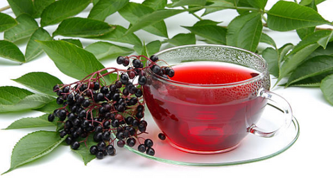 Elderberry tea for immunity | Life of Cha