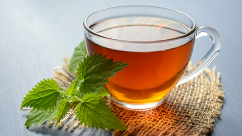 Peppermint Tea as Coffee Alternative | Life of Cha