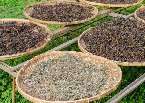 process of making dried black tea leaves