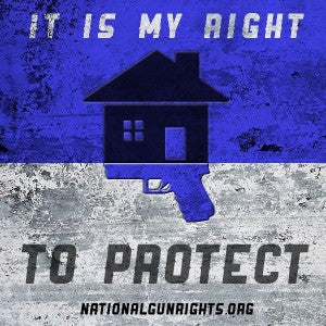 Second Amendment right to protection