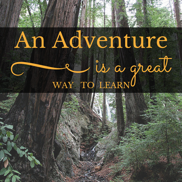 An adventure is a great way to learn quote