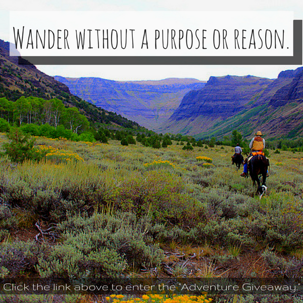 wander without a purpose or reason quote