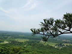 View from North Georgia Hike