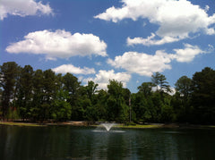 Lake fountain in Roswell, GA