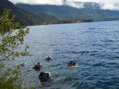 Scuba divers in lake Washington State
