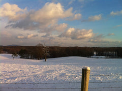 Winter Alpharetta Georgia field fence