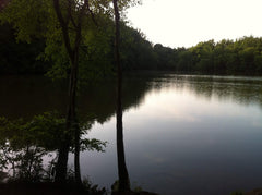 Georgia - lake view at dusk