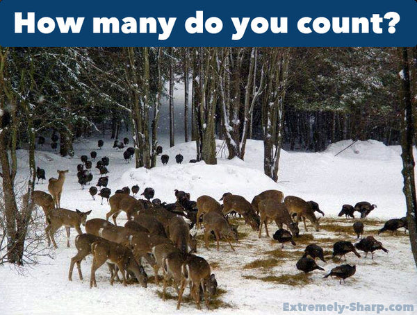 Hunting Humor How many deers do you count