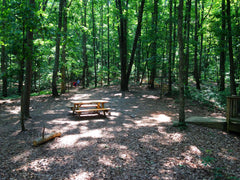 hiking - picnic table under trees