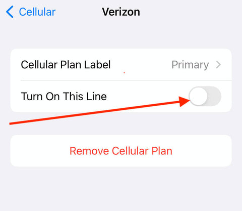 screenshot of cellular settings with arrow pointing to button that turns US line on in order to receive 2FA