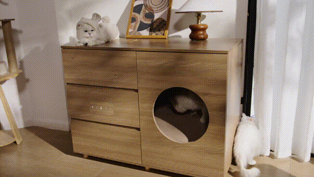 S1.gif__PID:7a5d3f6e-a92e-481f-bf27-c06cc82a6f34