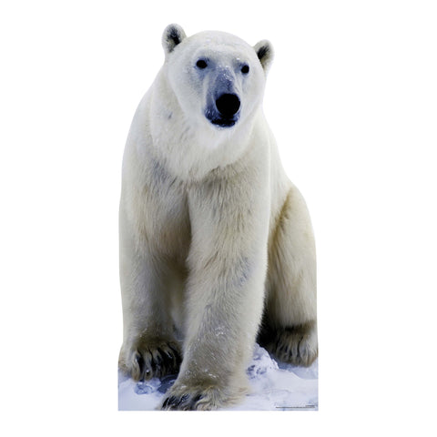 polar bear cardboard cutout