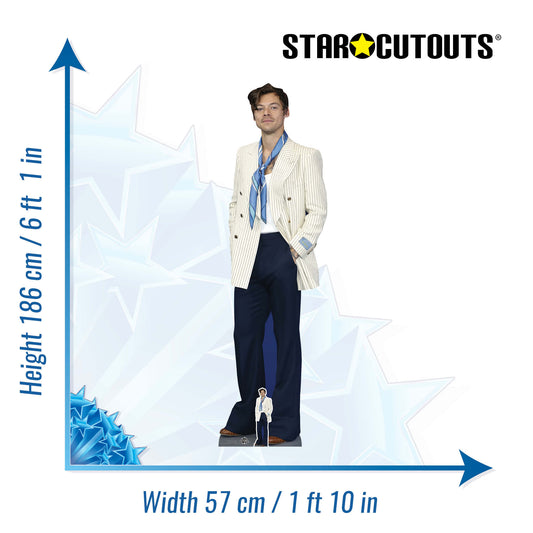 STAR CUTOUTS CS619 Taylor Celebrity Star Icon Swift Lifesize Cardboard  Cutout Perfect & CS836 Harry Singer Songwriter Cardboard Cutout with Free  Mini Standee Perfect for Birthdays : : Home & Kitchen