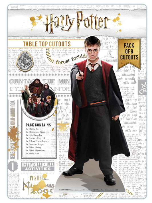 The Complete Guide to Rubeus Hagrid Costume of Harry Potter, SheCos