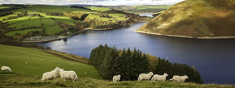 Glyndwr's Way au Pays de Galles