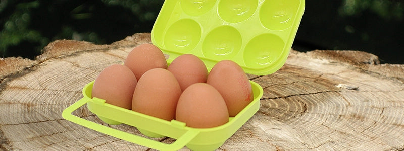 Protective Egg Carrier