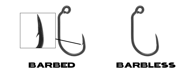 BARBED or BARBLESS HOOKS? Barbless catch MORE FISH! 