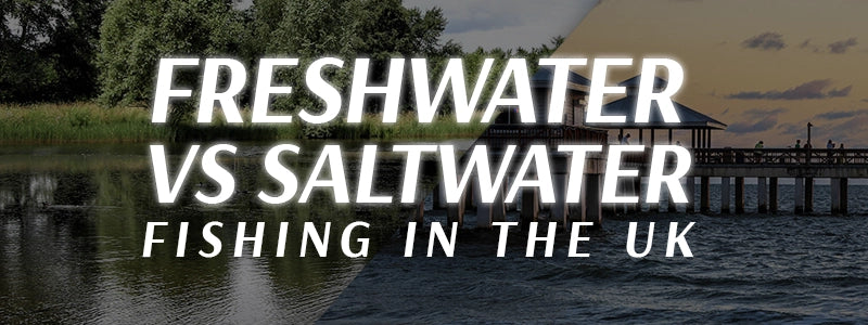 Freshwater vs saltwater Fishing in the UK common Questions