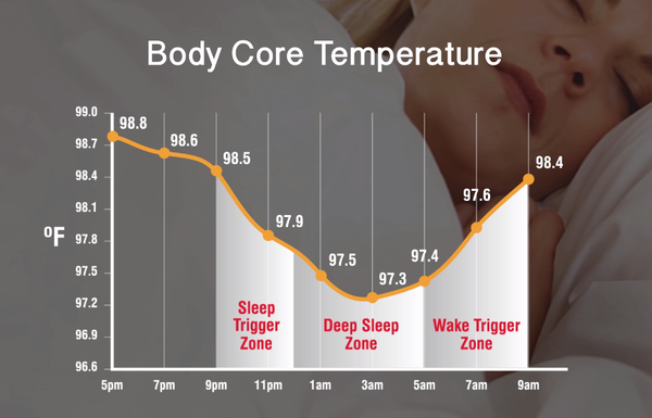 Body core temperature at night by BedJet