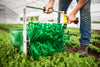 Picture of Quick-Cut Greens Harvester