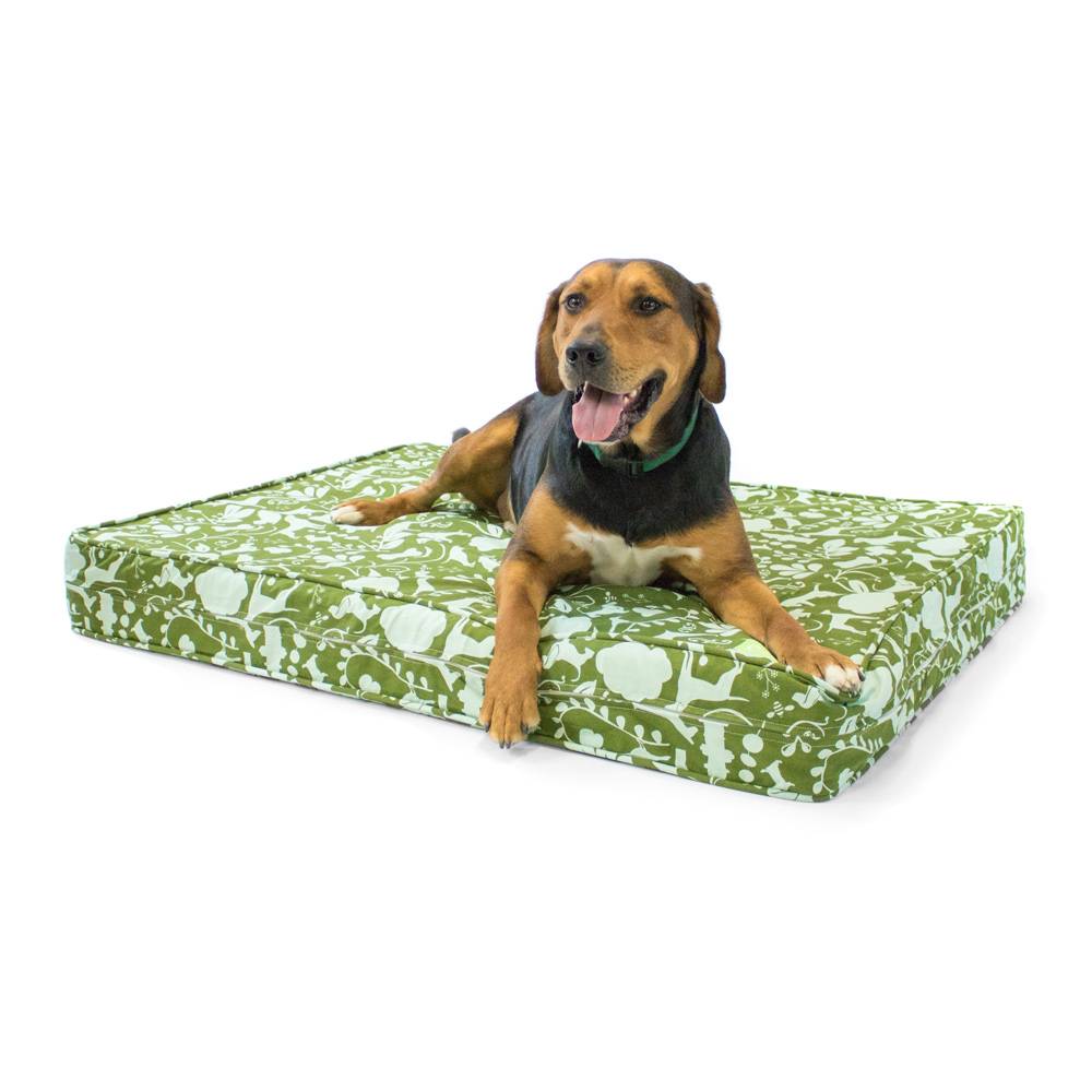 thick orthopedic dog bed