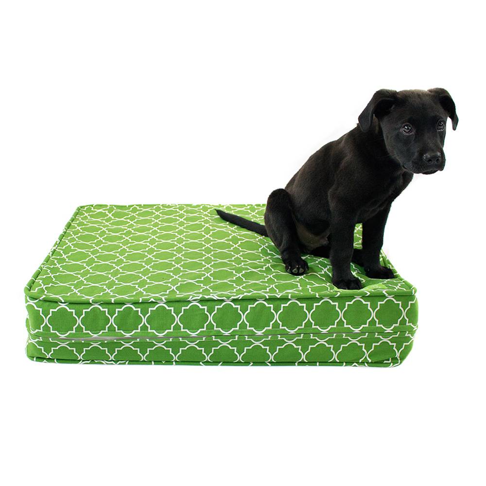 Green 5 Thick SoftFirm Reversible Comfort Gel Memory Foam Orthopedic Dog Bed