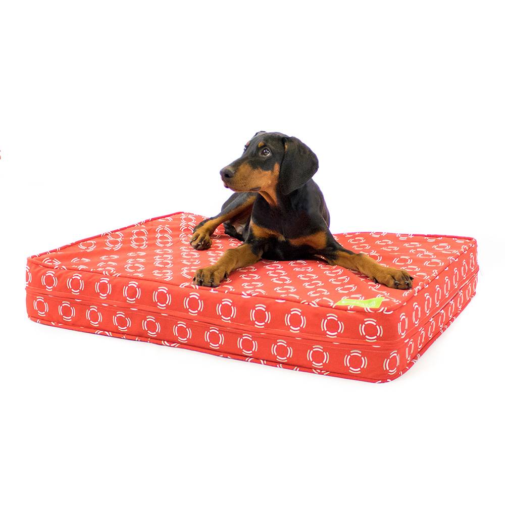 Red Modern 5 Thick SoftFirm Reversible Gel Memory Foam Orthopedic Dog Bed