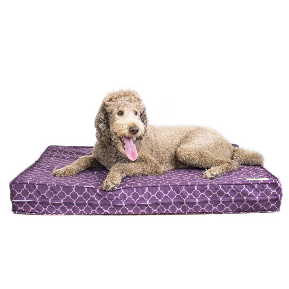 purple dog bed