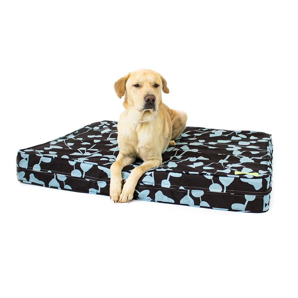 gel dog bed