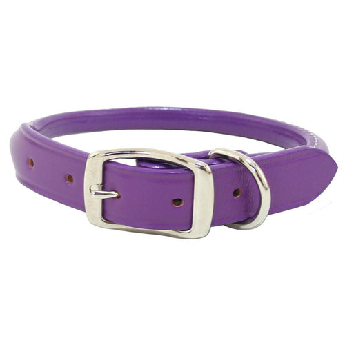 purple dog collars