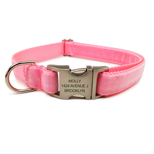 metal engraved dog collar