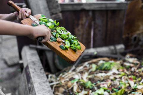 Food waste going into compost