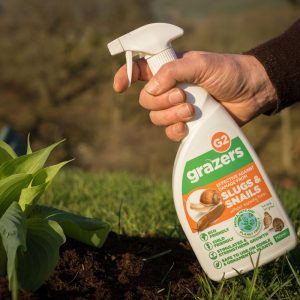 slug snail deterrent natural pest control